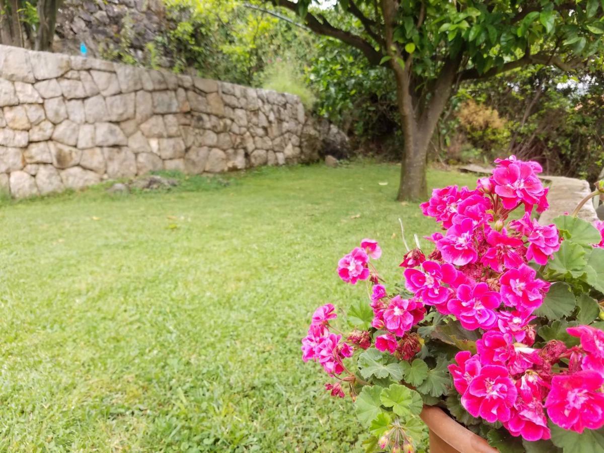 Marivo Guest House Molunat Exterior photo